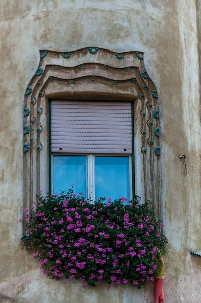 Kleine Rosa Blüten Schmücken Ein Fenster Hausfassade — Stockfoto