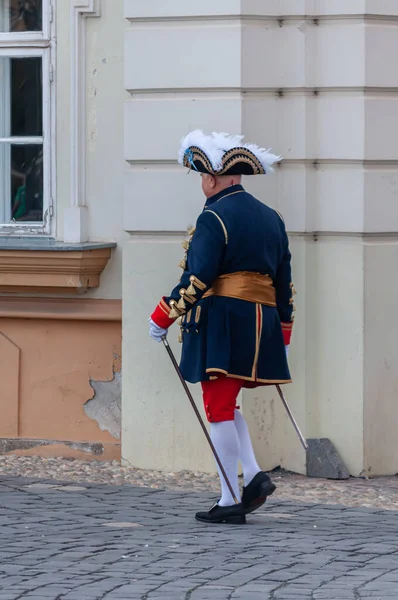 Timisoara Rumänien September 2018 Parad För Att Byta Vakt Perioddräkter — Stockfoto