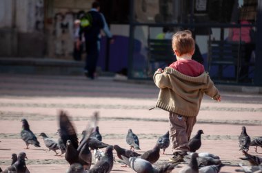 Timisoara, Romanya - 13 Nisan 2016: Çocuk sokakta güvercinlerle oynuyor. Gerçek insanlar..