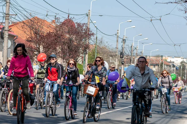 Timisoara Roumanie Avril 2016 Des Cyclistes Pédalerie Printanière — Photo