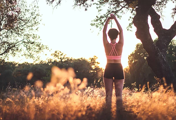 Yoga session at sunset among oaks and looking at the sunYoga session at sunset among oaks and looking at the sun