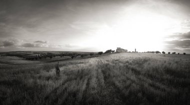 Terk edilmiş çiftlik Fonu ile siyah beyaz panoramik günbatımı