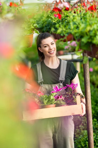 Giardiniere Femminile Allegro Che Tiene Una Cassa Con Vasi Fiori — Foto Stock