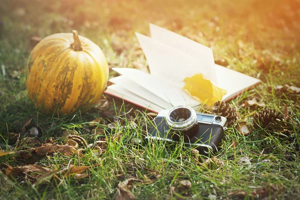 Vintage film camera, book and squash on grass.