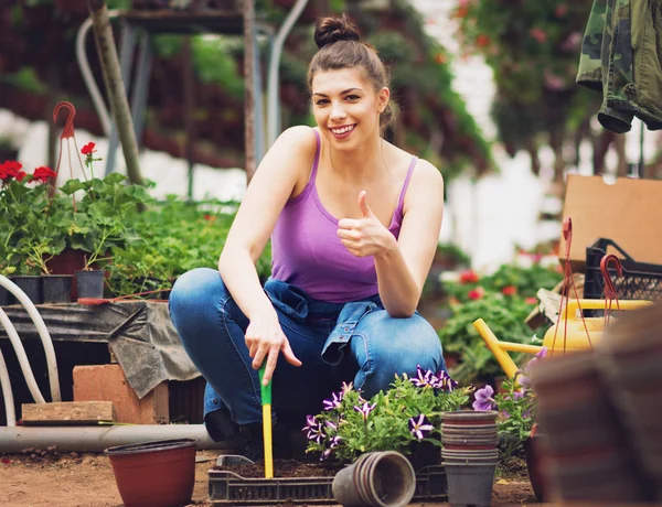 Νεαρή Γυναίκα Κηπουρός Φυτεύοντας Λουλούδια Στο Θερμοκήπιο Χαμογελώντας Χειρονομώ Αντίχειρες Φωτογραφία Αρχείου