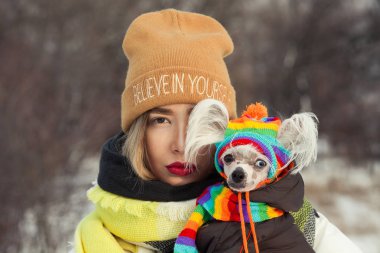 Best friends concept. Portrait of girl and Chinese crested dog with eyes of different colors wearing funny bobble hat, scarf, posing in winter park, looking at camera. Close up. Outdoor shot clipart