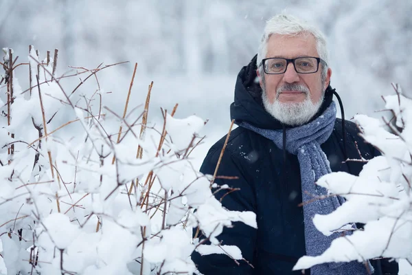 Active grandpa concept. Portrait of handome mature man in snow park — Stock Photo, Image