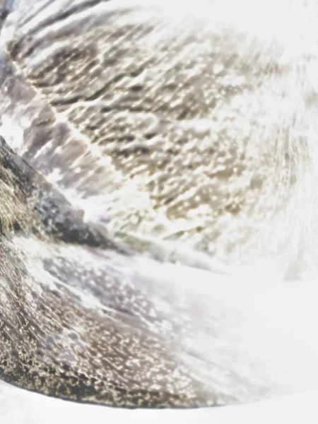 นหล างสรรค นนามธรรม ภาพประกอบด ตอล นหล งนามธรรม วอลล เปเปอร อแบนเนอร — ภาพถ่ายสต็อก