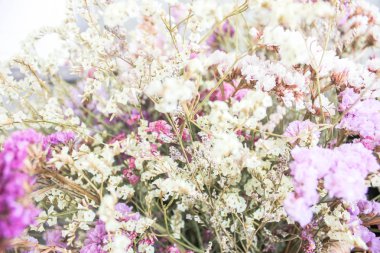 saksı vintage tarzı çiçek, yakın çekim çiçek sabah outdoors.beautiful vintage tarzı eski ahşap Bahçe saksı. yumuşak fikirler oluşturulması için arka plan bulanıklık