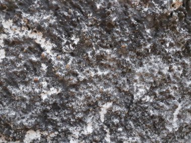 Çimento duvar doku ve arka plan, eski eski doku, vektör, kaba çimento duvar doku ve arka plan, arka plan, liken ile kaplı kirli gri kaya