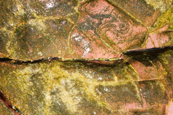 Rocce Sulla Spiaggia Riva Rocciosa Del Mare Bella Texture Naturale — Foto Stock