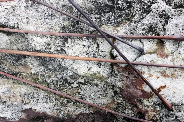 石の壁の自然な背景の小枝 — ストック写真
