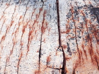 Ağaç kabuğu doku ve duvar kağıdı, Doğa, doku arka plan, ağaç kabuğu doku, doku doğa, arka plan doğa, doku duvar kağıdı, arka plan duvar kağıdı ahşap arka plan