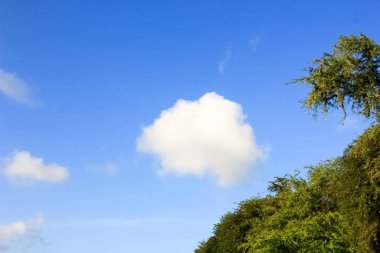 Güzel beyaz bulutlar ve mavi gökyüzü arka plan, beyaz cumulus bulutları, Beautiful cirrus bulutlar mavi gökyüzü, renk mavi gökyüzü gün ışığı ile yumuşak bulutlar ile mavi gökyüzü,