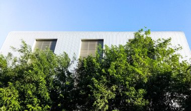 büyük yeşil ağaçlar, dalları basit Ofis Binası.