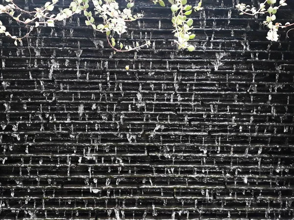 Kara Duvar Kara Duvara Güzel Damlaları Siyah Duvarlarla Kaplı Küçük — Stok fotoğraf