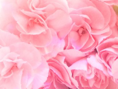 Pembe çiçeğe yakın, yumuşak renkli çiçekler ve arka plan için bulanık bir tarz, pembe çiçeklerin detayları, soyut ve karmaşık çiçek desenleri, yumuşak renkli güzel çiçekler ve arka plan için bulanık bir tarz.