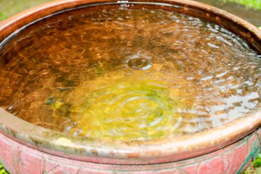 Taş kasede yağmur, yağmur gününde taş kâse, taş kasede dalgalar, bahçede suyun altında yağmur.