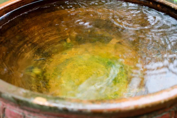 Rain Stone Bowl Stone Bowl Rain Day Ripples Stone Bowl — Stock Photo, Image