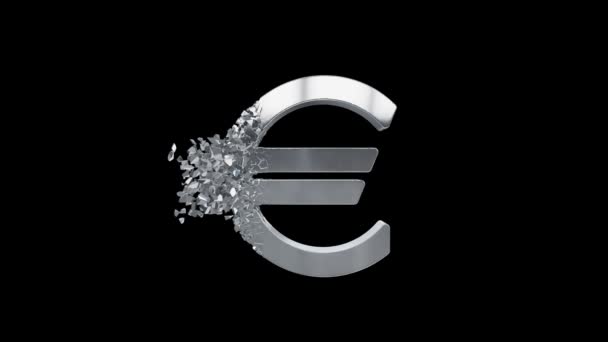 Fracture Euro signe 3d 