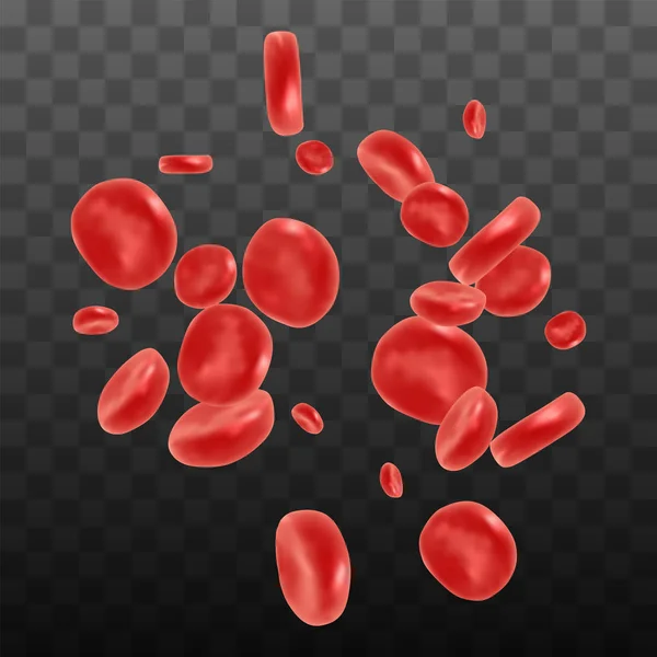 Glóbulos rojos que fluyen — Vector de stock