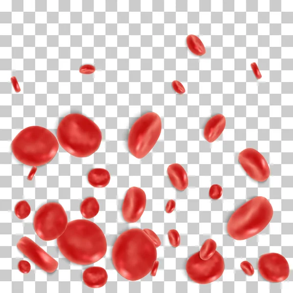 Red blood cell flowing — Stock Vector