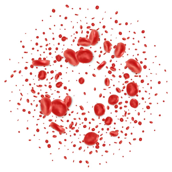 血红细胞流动 — 图库矢量图片