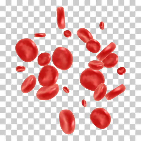 Red blood cell flowing — Stock Vector