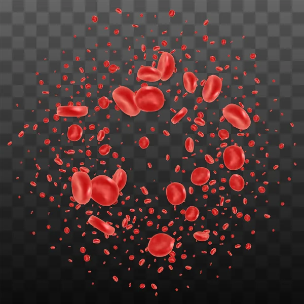 Красные кровяные клетки — стоковый вектор