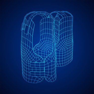 Polis ceketi ya da kurşun geçirmez yelek.