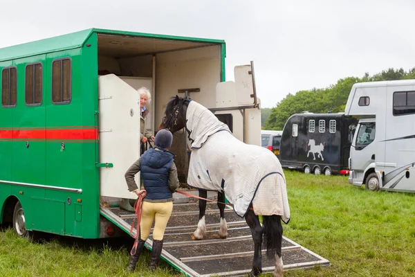 柴郡乌 Cheshire 2014年5月29日 年轻的女骑手在大雨后 在泥泞的田里 在年长的女骑手的协助下 将马匹装上拖车 图库照片