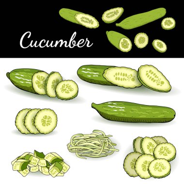 Salatalık bütün ve beyaz arka plan vektör illüstrasyon izole dilimleri. Gıda illüstrasyon Cafe, market, menü tasarımı için