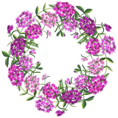 Beyaz izole phlox çiçek çiçek çelenk. Mükemmel baskı için tebrik kartları, giyim, kumaş, hediye kutusu.
