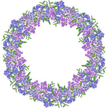 Beyaz izole phlox çiçek çiçek çelenk. Mükemmel baskı için tebrik kartları, giyim, kumaş, hediye kutusu.