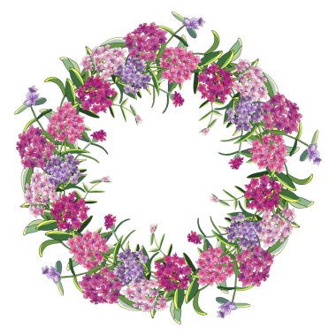 Beyaz izole phlox çiçek çiçek çelenk. Mükemmel baskı için tebrik kartları, giyim, kumaş, hediye kutusu.
