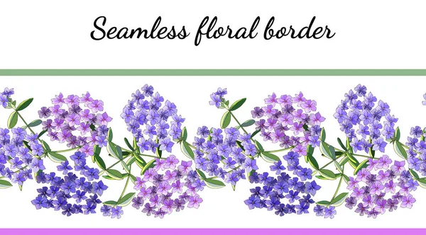 Seamless Border Phlox Flowers Isolated White Excellent Print Greeting Cards — Stock Vector