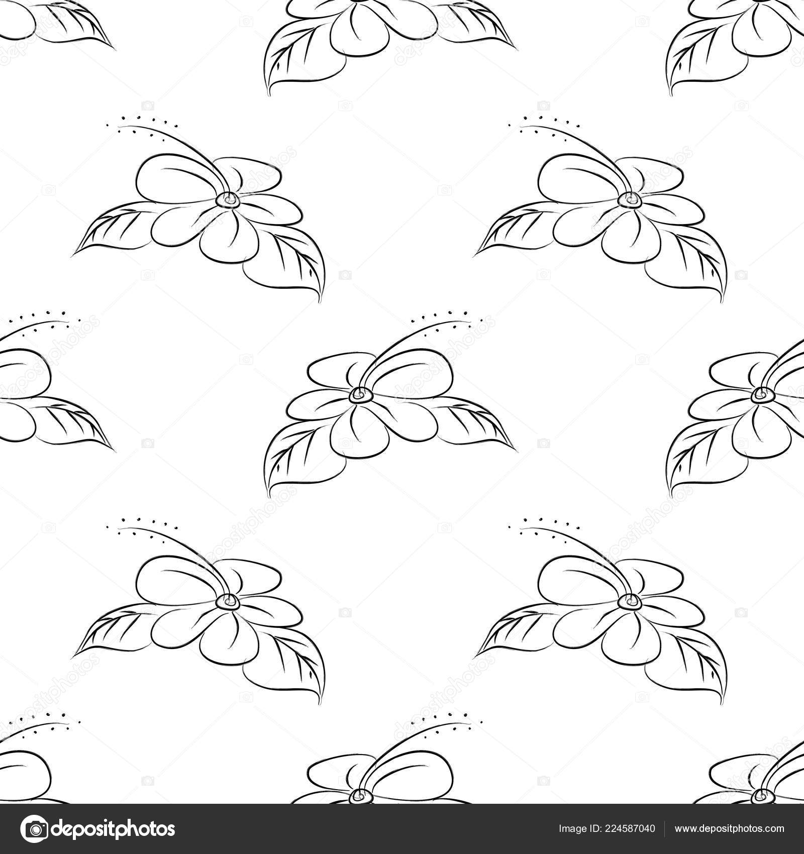 Dessinée Main Fleur Illustration Modèle Vecteur Prête