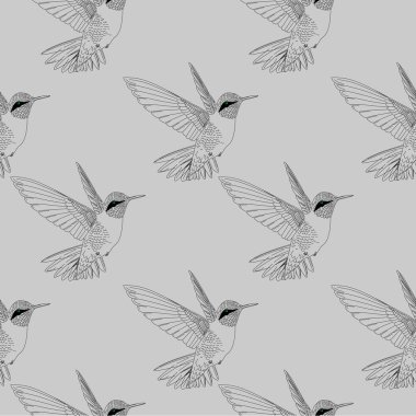 Sorunsuz uğultu kuş. Colibri el vintage tarzı arka plan çekilmiş.