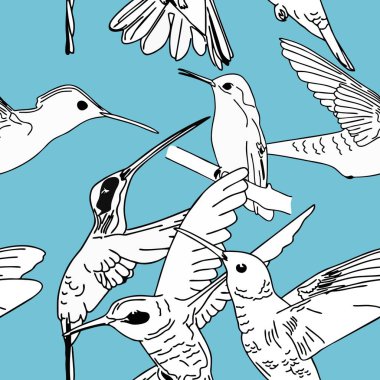 Sinek kuşu Dikişsiz desen vektör illüstrasyon izole mavi arka plan üzerinde uçan