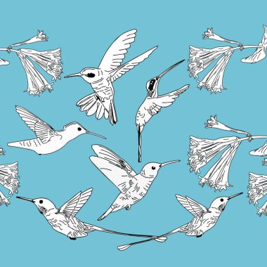 Sinek kuşu elle çizilmiş kroki koleksiyonları arka plan vektör çizim ayarla.