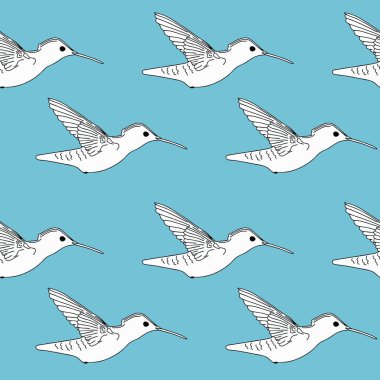 Sinek kuşu Dikişsiz desen vektör illüstrasyon izole mavi arka plan üzerinde uçan