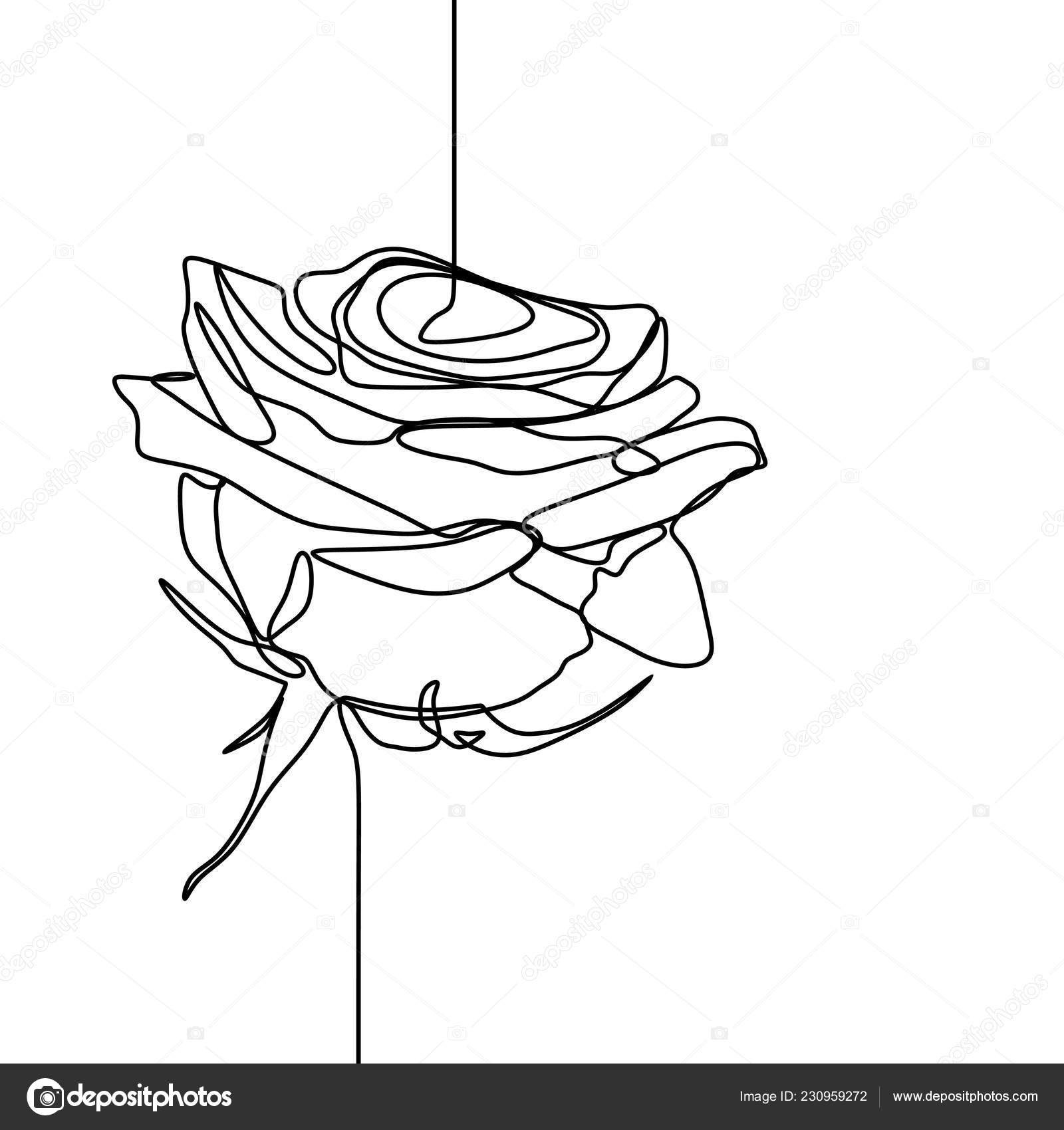  Dessin  Trait  Design Minimaliste  Fleur Rose Isol  Sur Fond 