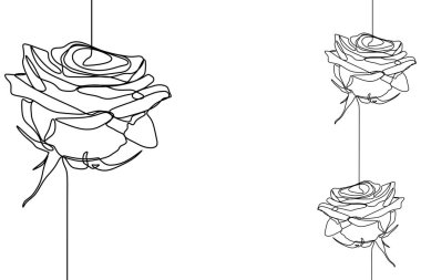 Gül çiçek minimalist tasarım beyaz arka plan üzerinde izole bir çizim için. Vektör çizim poster, afiş ve duvar kağıdı şablon basit zarif sürekli lineart stili.