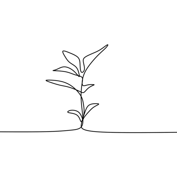 Sürekli Çizgi Sanat Vektör Çizim Resim Büyüyen Bitki — Stok Vektör
