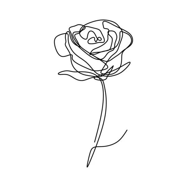 Dessin Ligne Continue Vecteur Fleurs Roses — Image vectorielle