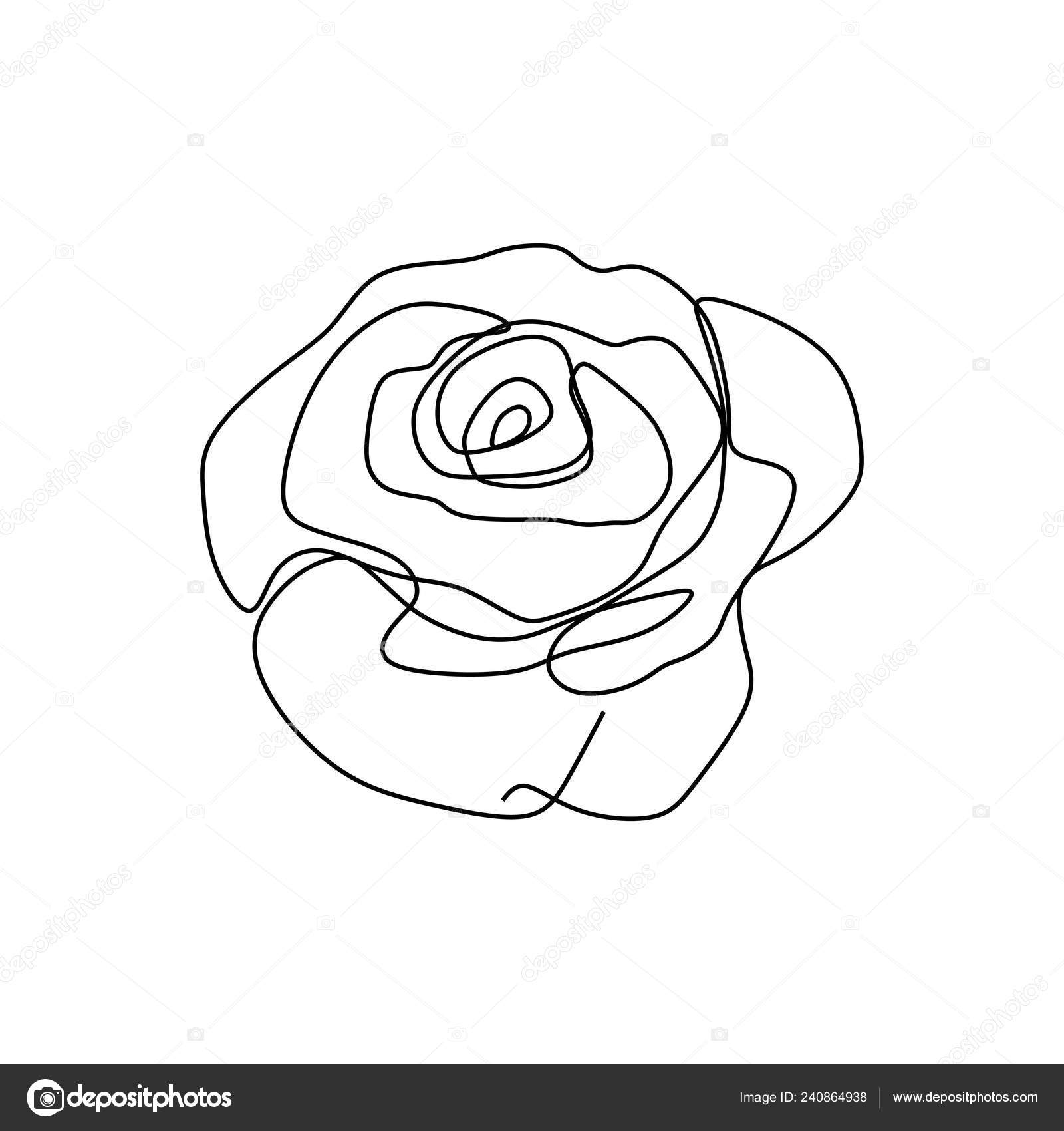 Rose Line Images | Free Photos, PNG Stickers, Wallpapers & Backgrounds -  rawpixel