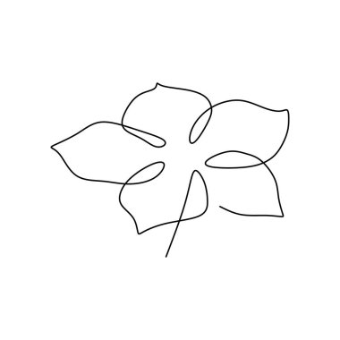 Lily çiçek çiçek açan bir sürekli çizgi sanat vektör çizim resim