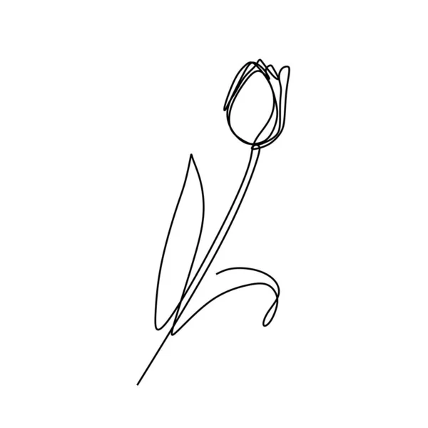 Цветок Лили Цветущий Одной Сплошной Линии — стоковый вектор