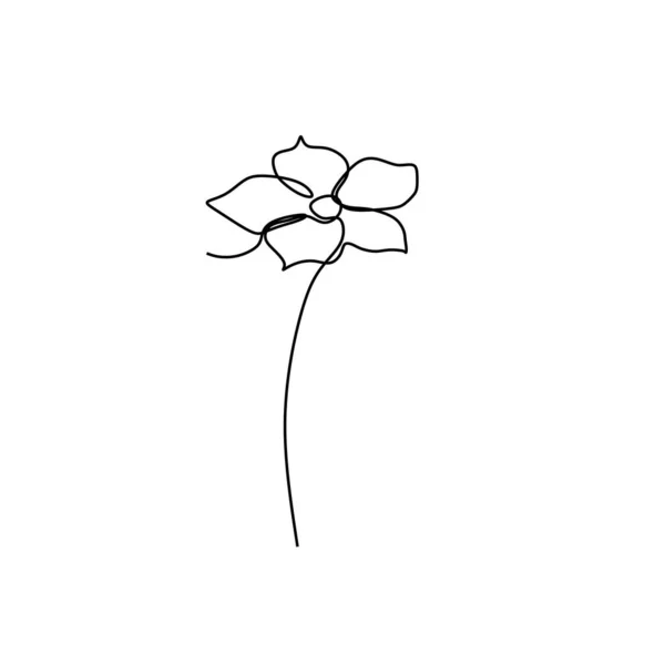 Lily Çiçek Çiçek Açan Bir Sürekli Çizgi Sanat Vektör Çizim — Stok Vektör
