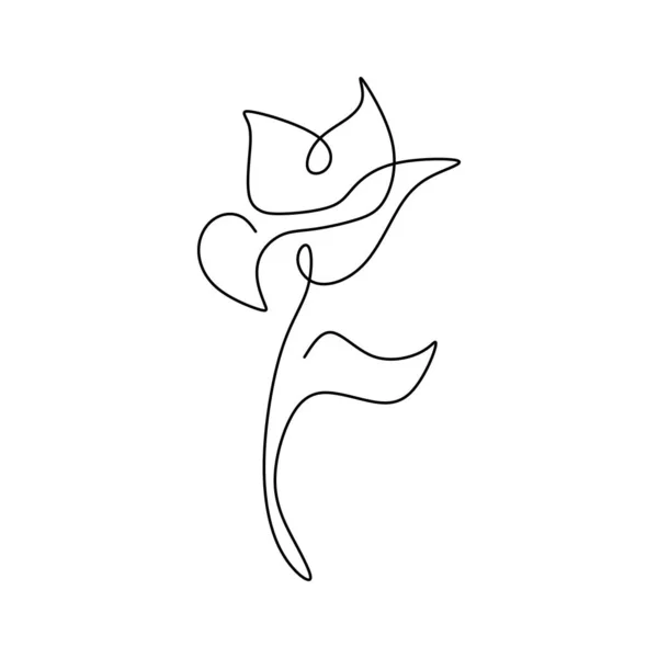 Lily Flower Blooming One Continuous Line Art Drawing Vector Illustration - Stok Vektor